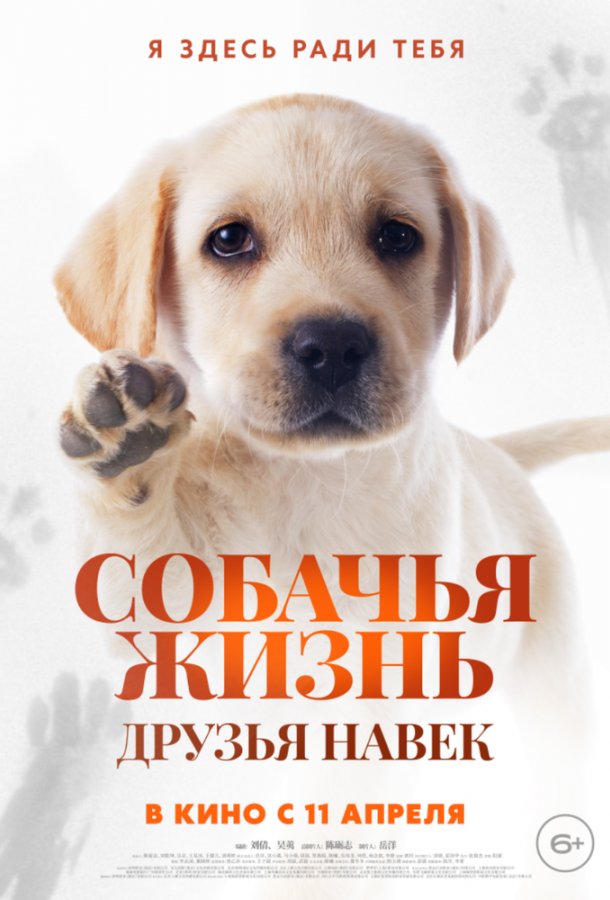 Фильм Собачья жизнь: Друзья навек (2023) смотреть онлайн бесплатно